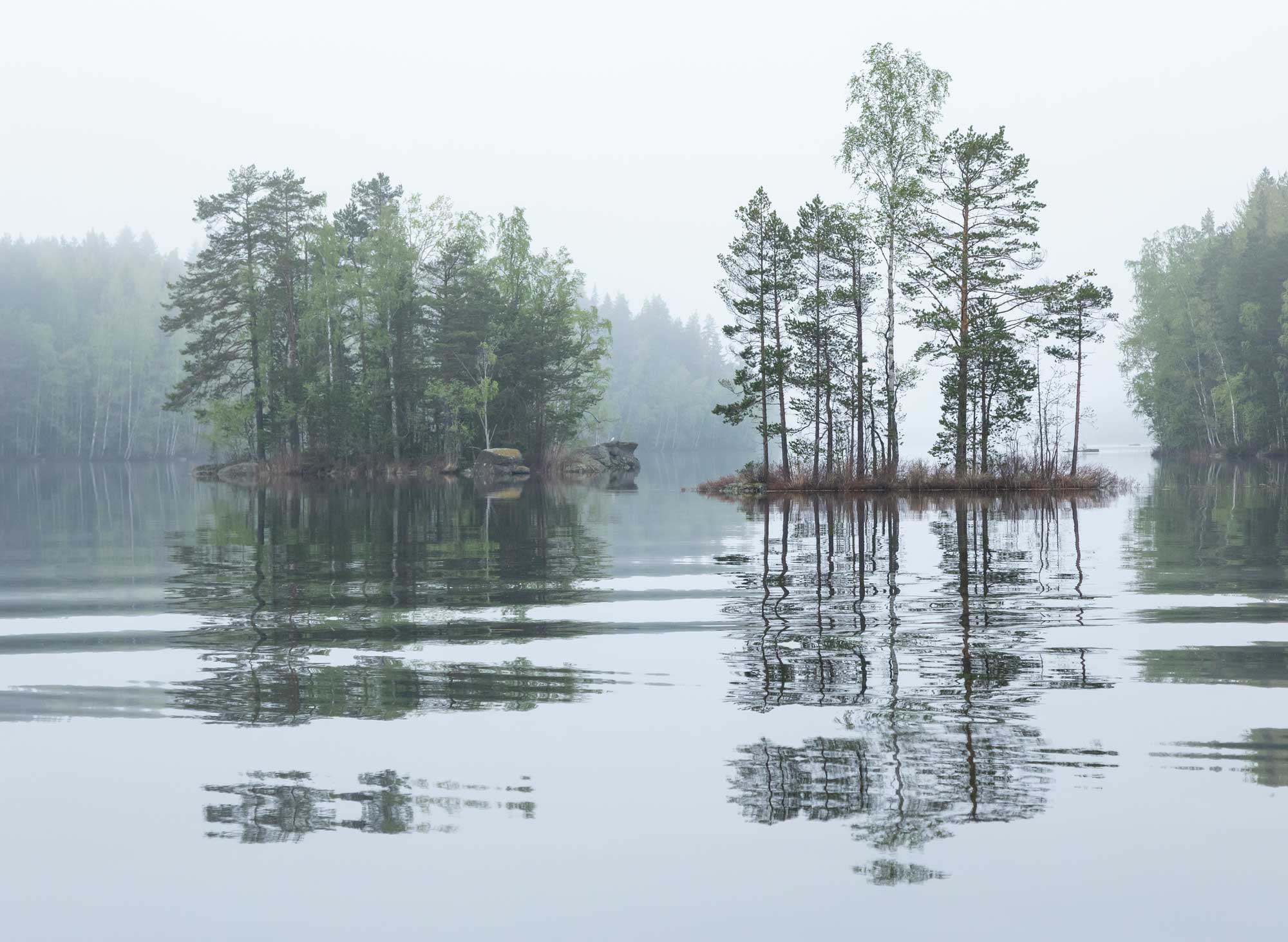Saari järvellä